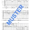 Kampideller Polka – Bild 3