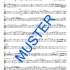 Blas’ Musik in die Welt! (Marsch) – Bild 5