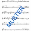 Tenorhorn Rhapsodie – Bild 8