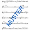 Tenorhorn Rhapsodie – Bild 7