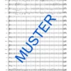 Tenorhorn Rhapsodie – Bild 6