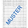 Tenorhorn Rhapsodie – Bild 5
