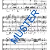 Böhmischer Musikantenball (Polka) – Bild 4