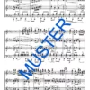 Böhmischer Musikantenball (Polka) – Bild 6