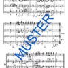 Böhmischer Musikantenball (Polka) – Bild 7